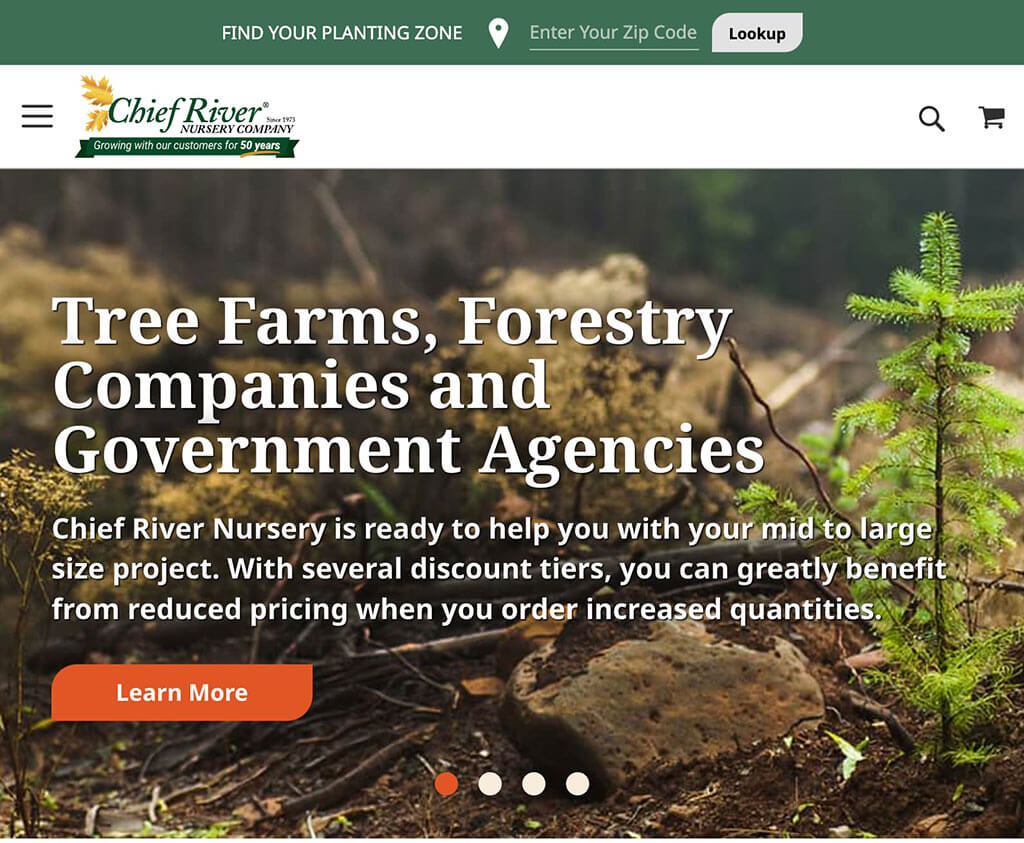 Bare Root Trees For Sale, Tree Seedlings For Sale, Tree Saplings For chiefrivernursery.com